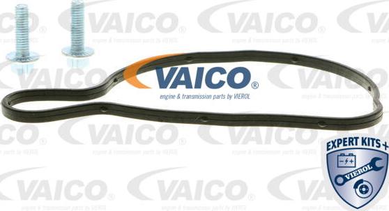 VAICO V10-50063 - Ūdenssūknis www.autospares.lv