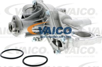 VAICO V10-50013 - Ūdenssūknis www.autospares.lv