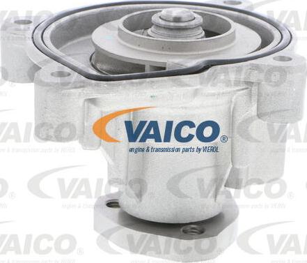 VAICO V10-50084 - Ūdenssūknis www.autospares.lv