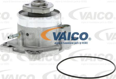 VAICO V10-50081 - Водяной насос www.autospares.lv