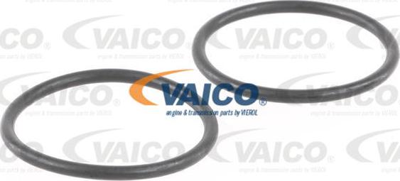 VAICO V10-50039 - Ūdenssūknis www.autospares.lv