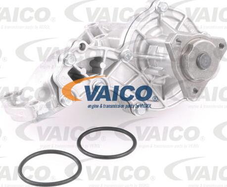 VAICO V10-50039 - Ūdenssūknis autospares.lv