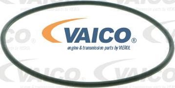 VAICO V10-50031 - Ūdenssūknis www.autospares.lv