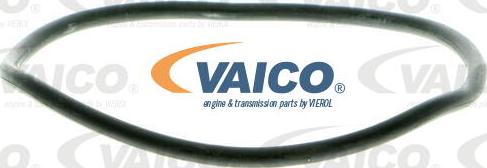 VAICO V10-50038 - Ūdenssūknis www.autospares.lv