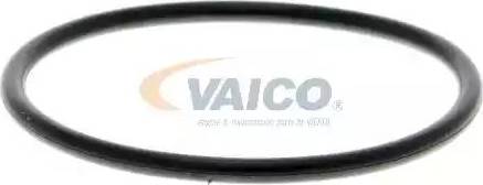 VAICO V10-50033-1 - Ūdenssūknis autospares.lv