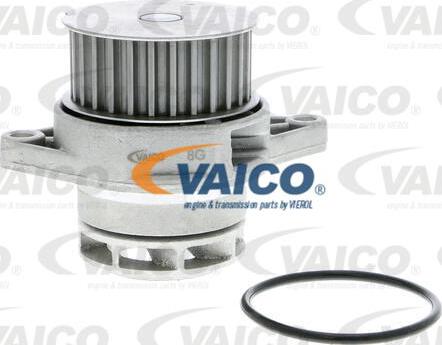 VAICO V10-50037 - Ūdenssūknis www.autospares.lv