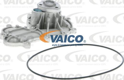 VAICO V10-50079 - Ūdenssūknis www.autospares.lv