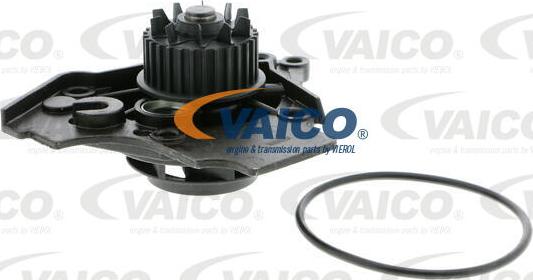 VAICO V10-50072 - Ūdenssūknis www.autospares.lv