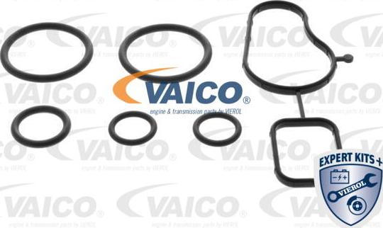 VAICO V10-50115 - Ūdenssūknis www.autospares.lv