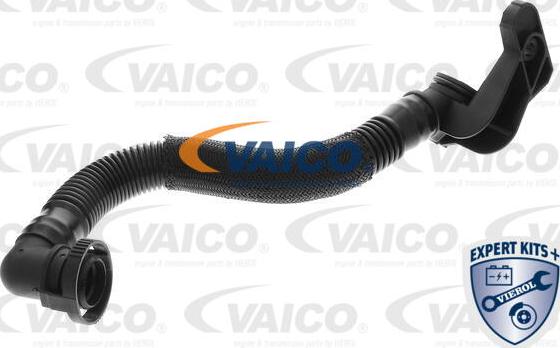 VAICO V10-5804 - Remkomplekts, Kartera ventilācija www.autospares.lv