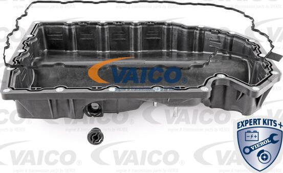 VAICO V10-5374 - Eļļas vācele www.autospares.lv