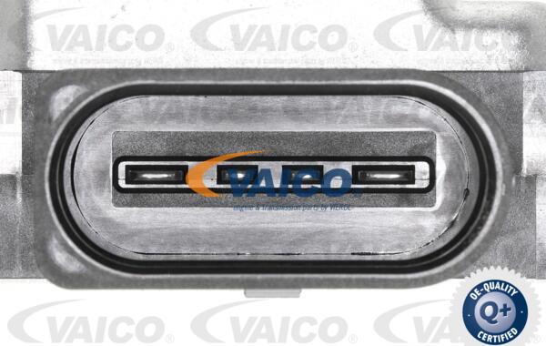 VAICO V10-6991 - Eļļas sūknis, Automātiskā pārnesumkārba www.autospares.lv