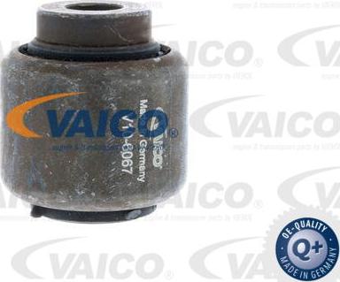 VAICO V10-6067 - Piekare, Šķērssvira www.autospares.lv