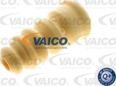 VAICO V10-6032 - Gājiena ierobežotājs, Atsperojums autospares.lv