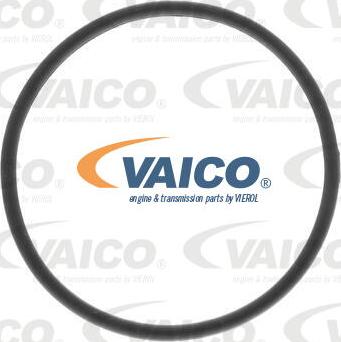 VAICO V10-0499 - Degvielas filtrs www.autospares.lv