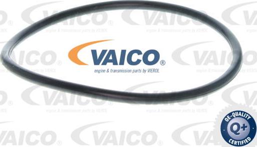 VAICO V10-0665 - Eļļas filtrs www.autospares.lv