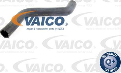 VAICO V10-0060 - Radiatora cauruļvads www.autospares.lv