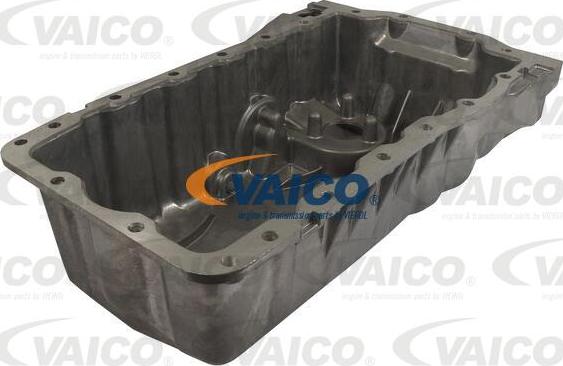 VAICO V10-0875 - Eļļas vācele www.autospares.lv