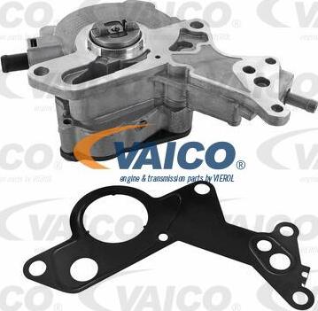 VAICO V10-0724 - Vakuumsūknis, Bremžu sistēma www.autospares.lv