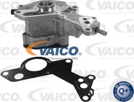 VAICO V10-0725 - Vakuumsūknis, Bremžu sistēma www.autospares.lv