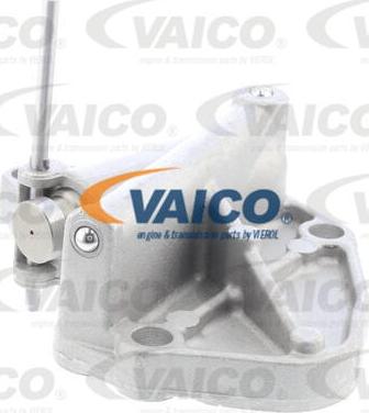 VAICO V10-4503 - Spriegotājs, Piedziņas ķēde www.autospares.lv