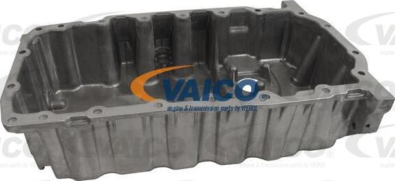 VAICO V10-1887 - Eļļas vācele www.autospares.lv