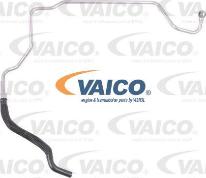 VAICO V10-1748 - Hidrauliskā šļūtene, Stūres iekārta www.autospares.lv