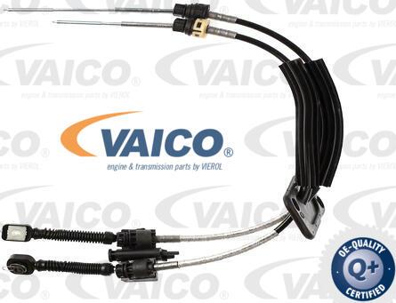 VAICO V10-8063 - Trose, Mehāniskā pārnesumkārba autospares.lv