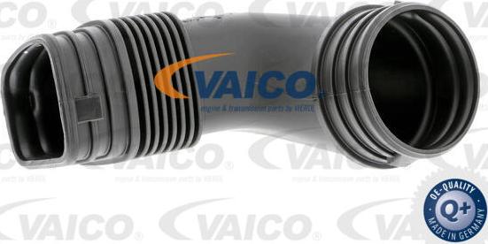 VAICO V10-3566 - Ieplūdes caurule, Gaisa pievads www.autospares.lv