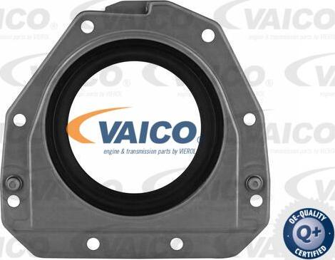 VAICO V10-3685 - Vārpstas blīvgredzens, Kloķvārpsta www.autospares.lv