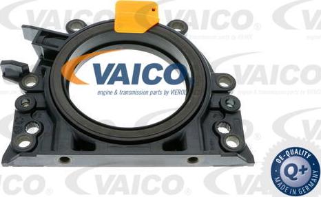 VAICO V10-3686 - Vārpstas blīvgredzens, Kloķvārpsta www.autospares.lv