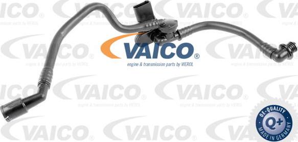 VAICO V10-3629 - Vakuuma šļūtene, Bremžu sistēma www.autospares.lv