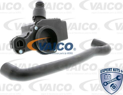 VAICO V10-3240 - Remkomplekts, Kartera ventilācija www.autospares.lv