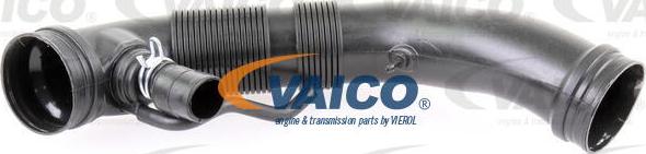 VAICO V10-3209 - Gaisa tvērēja caurule, Gaisa filtrs www.autospares.lv