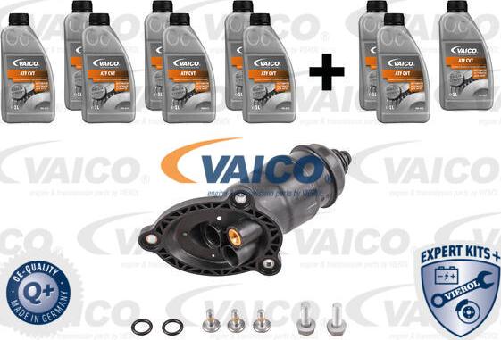 VAICO V10-3231-XXL - Rez. daļu komplekts, Autom. pārnesumkārbas eļļas maiņa www.autospares.lv