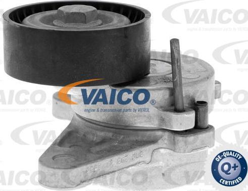 VAICO V10-3703 - Siksnas spriegotājs, Ķīļsiksna www.autospares.lv