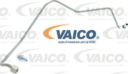 VAICO V10-3733 - Трубка, маслопровод компрессора www.autospares.lv