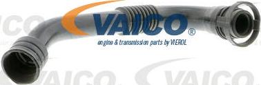 VAICO V10-2941 - Šļūtene, Kartera ventilācija www.autospares.lv