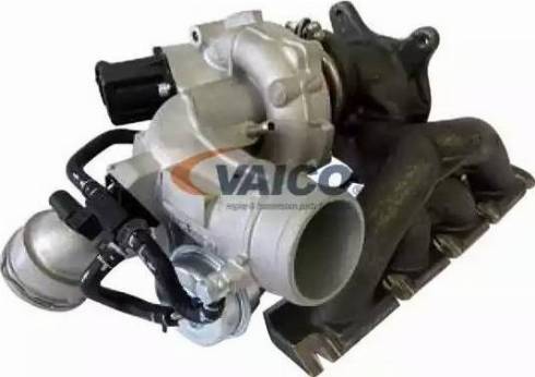 VAICO V10-2482 - Kompresors, Turbopūte www.autospares.lv