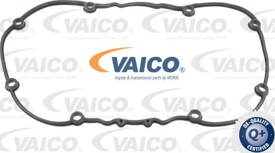 VAICO V10-2558 - Gasket, cylinder head cover www.autospares.lv