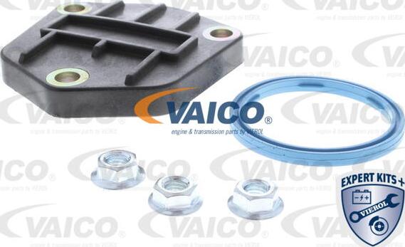 VAICO V10-2638-1 - Blīve, Eļļas vācele www.autospares.lv