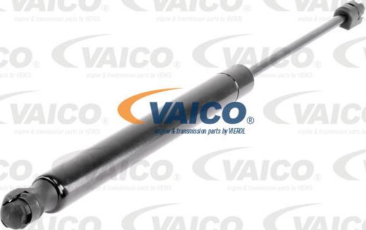 VAICO V10-2160 - Gāzes atspere, Bagāžas / Kravas nodalījuma vāks www.autospares.lv