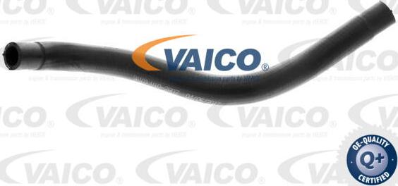 VAICO V10-2807 - Radiatora cauruļvads www.autospares.lv