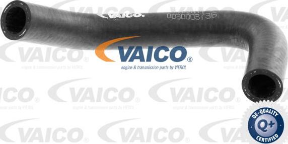 VAICO V10-2814 - Radiatora cauruļvads www.autospares.lv