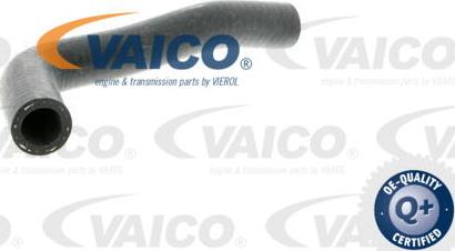 VAICO V10-2816 - Radiatora cauruļvads www.autospares.lv