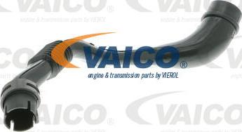 VAICO V10-2778 - Šļūtene, Kartera ventilācija www.autospares.lv