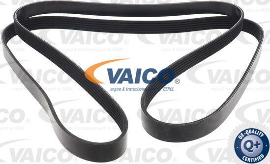 VAICO V10-7957 - Ķīļrievu siksna www.autospares.lv