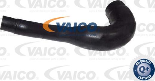 VAICO V30-4260 - Radiatora cauruļvads www.autospares.lv