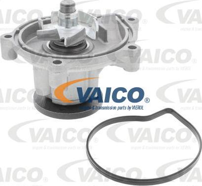 VAICO V30-50095 - Ūdenssūknis www.autospares.lv