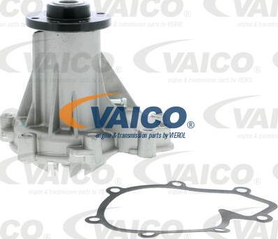 VAICO V30-50042 - Ūdenssūknis autospares.lv